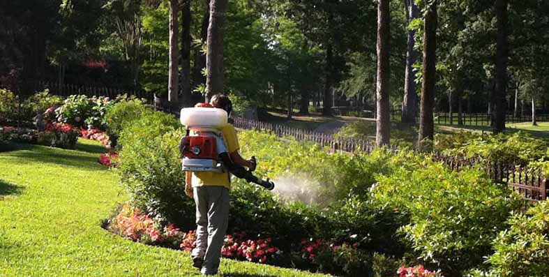 Backpack Spray Service